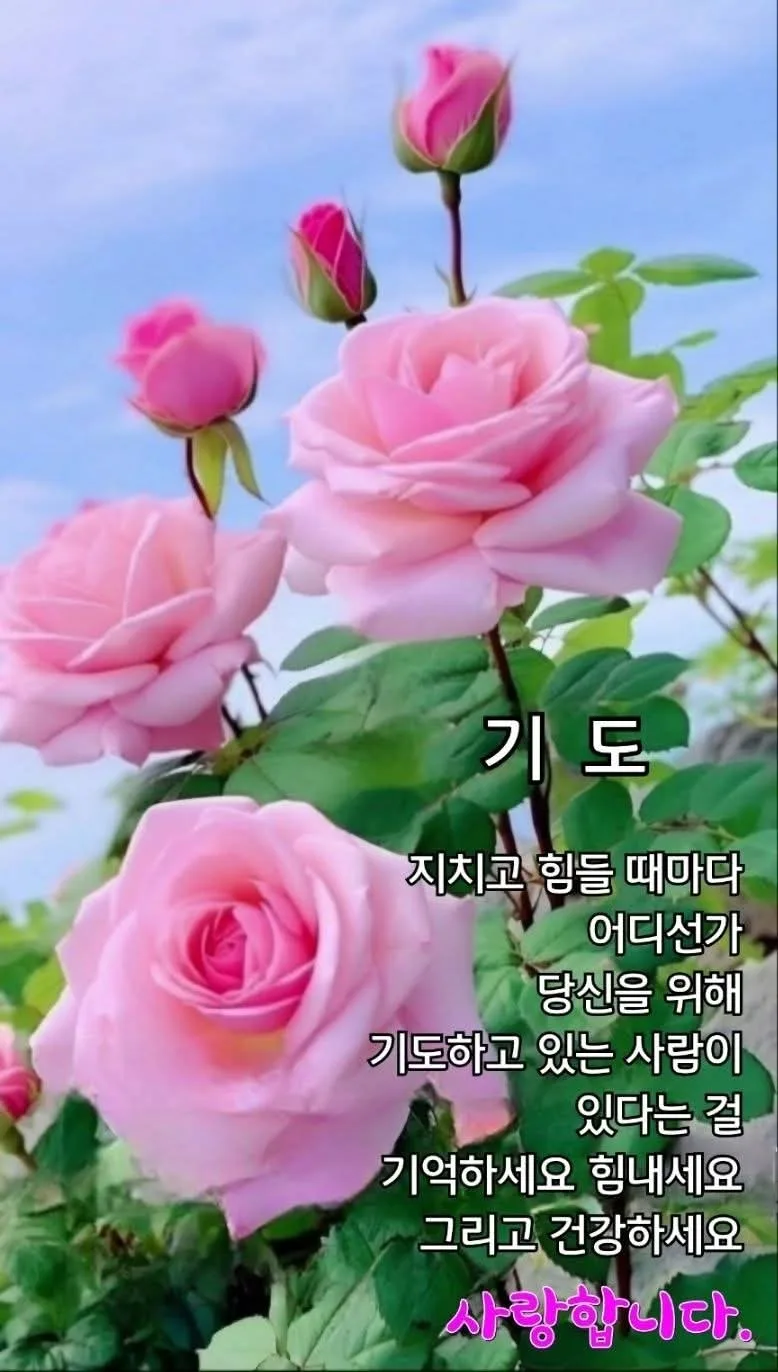 다사랑