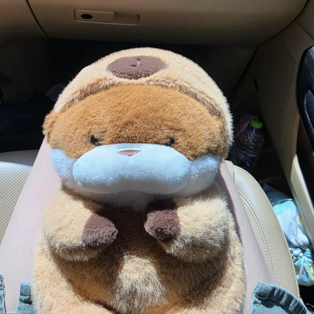 은냥