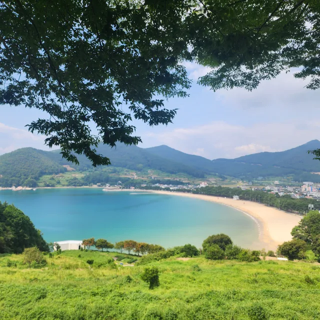 카르페디엠
