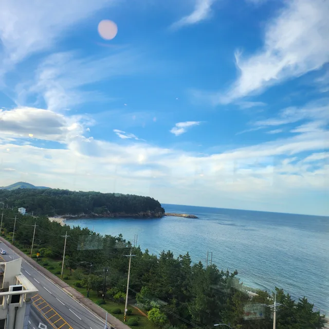동해야