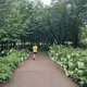 런데렐라