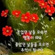 당근당근