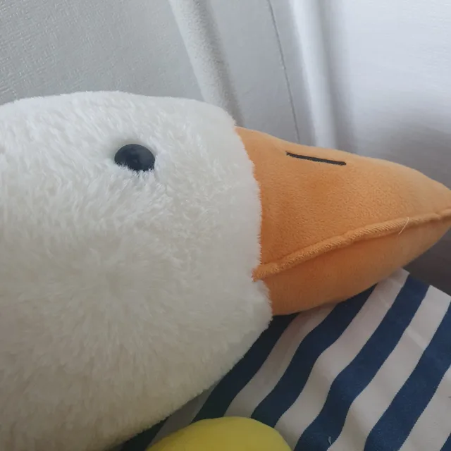오리는꽥꽥