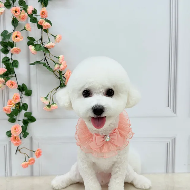 두시렐라