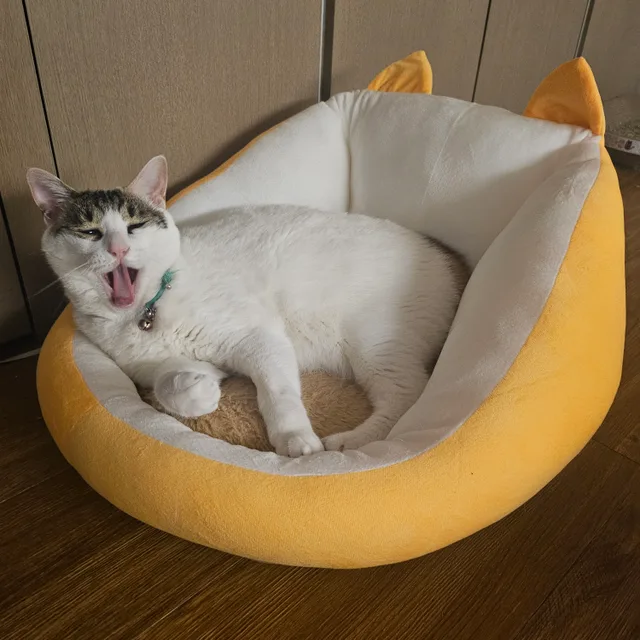 찌이