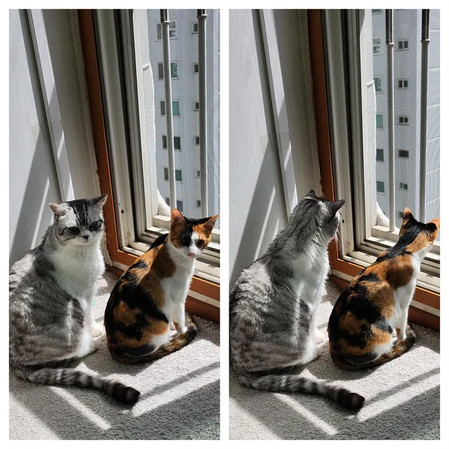루이별
