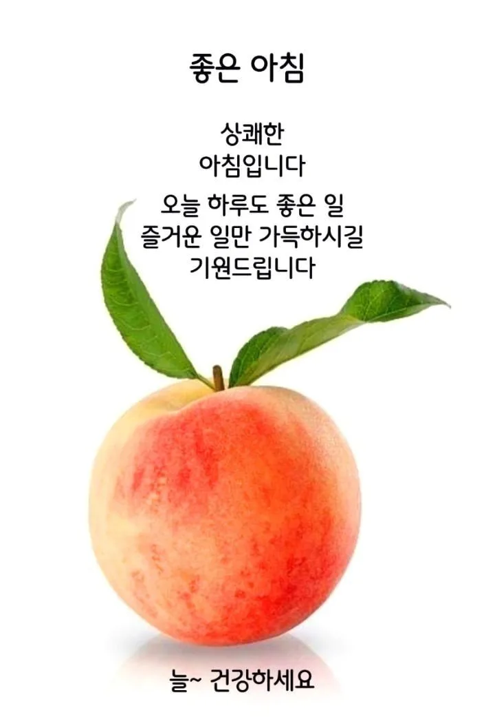 진주알