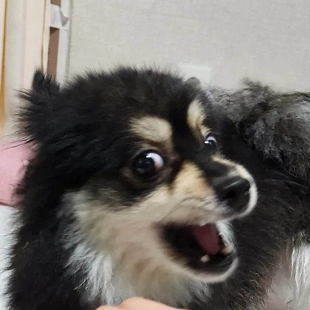 다니엘