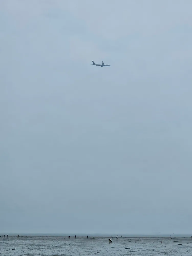 우보맘