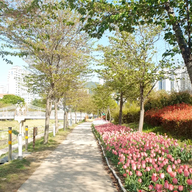 스카이밤