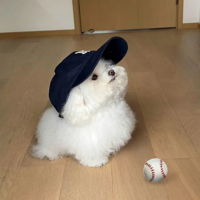 닉네임