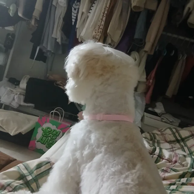 유키