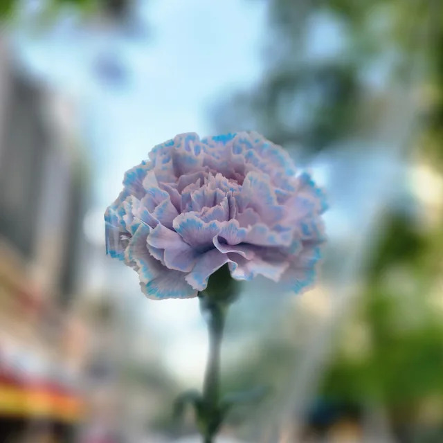 마법사12th