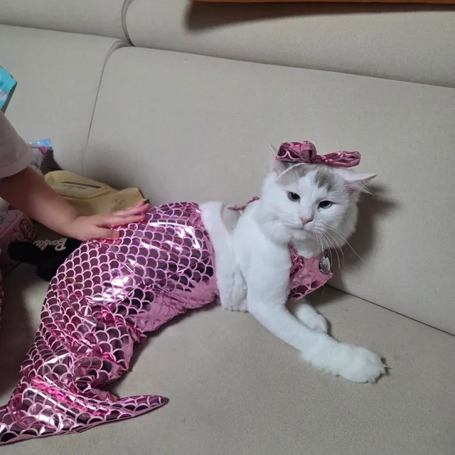 무등산그남자