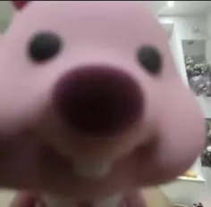 완료주의