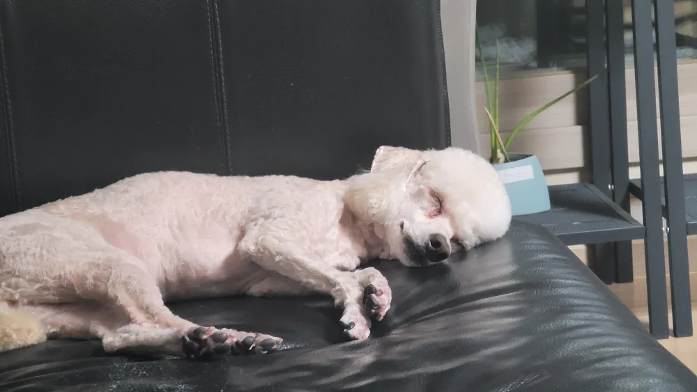 건빠