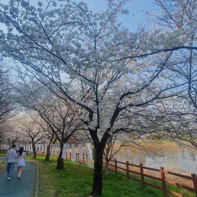 깡통