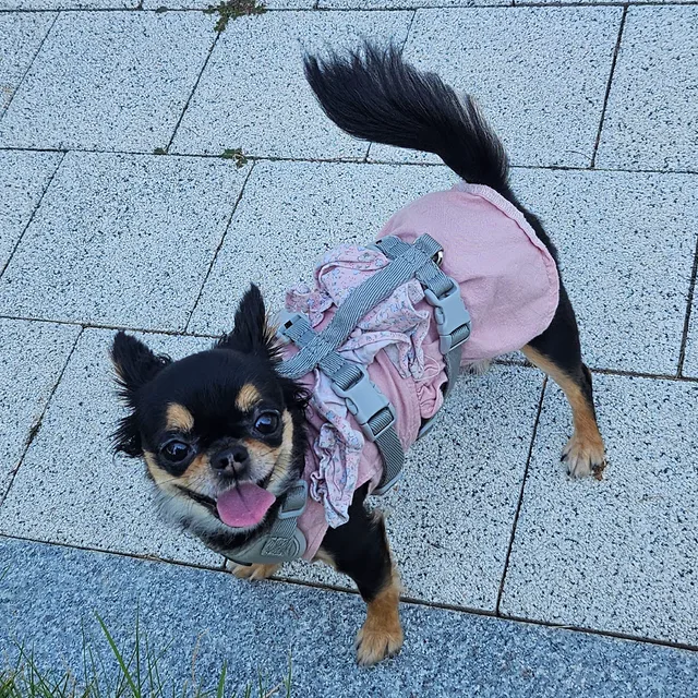 그냥저냥