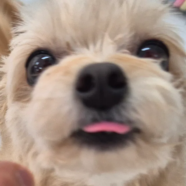 지렁이