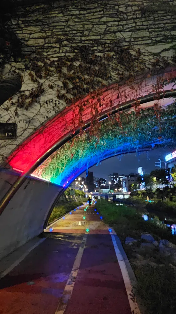 날마다