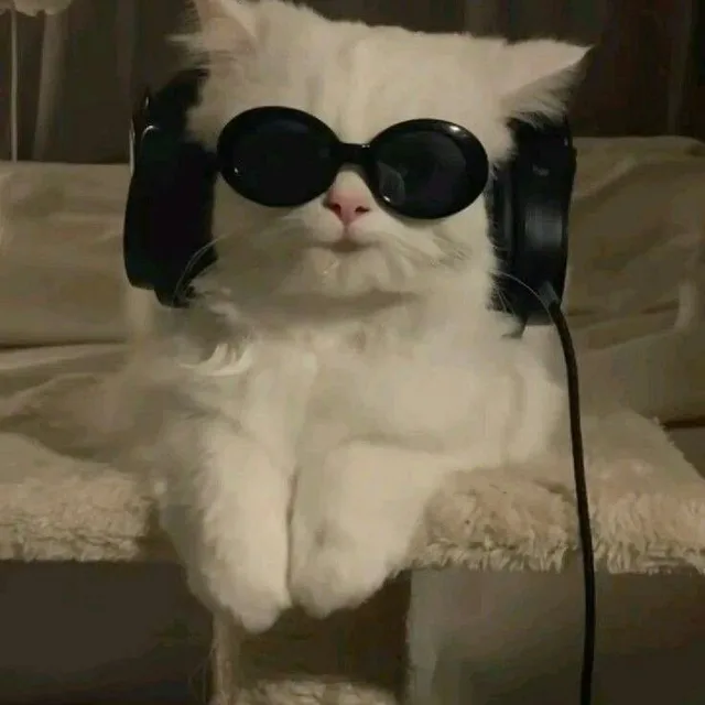 333