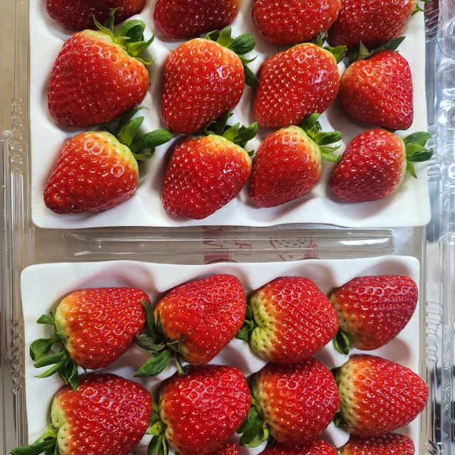 좋은세상