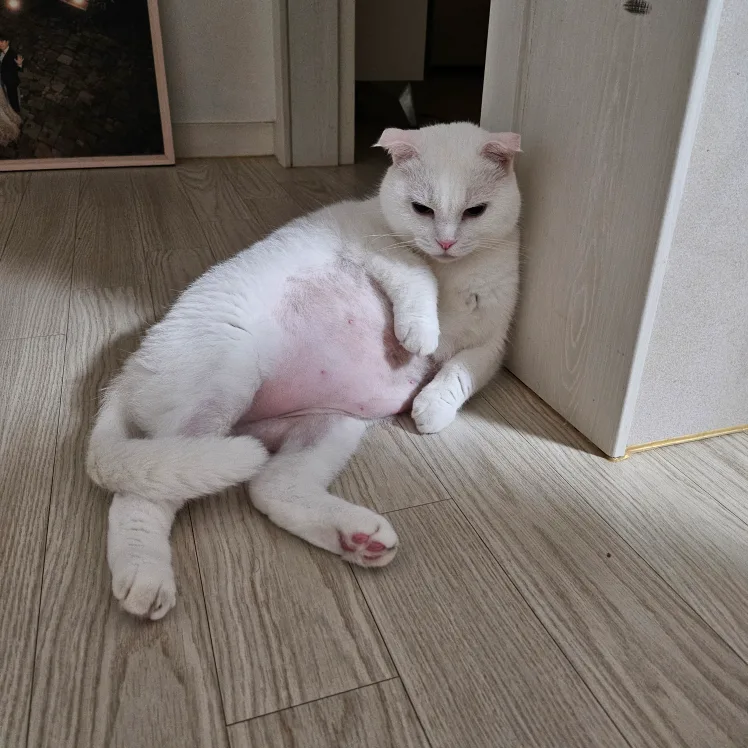 행복해야해