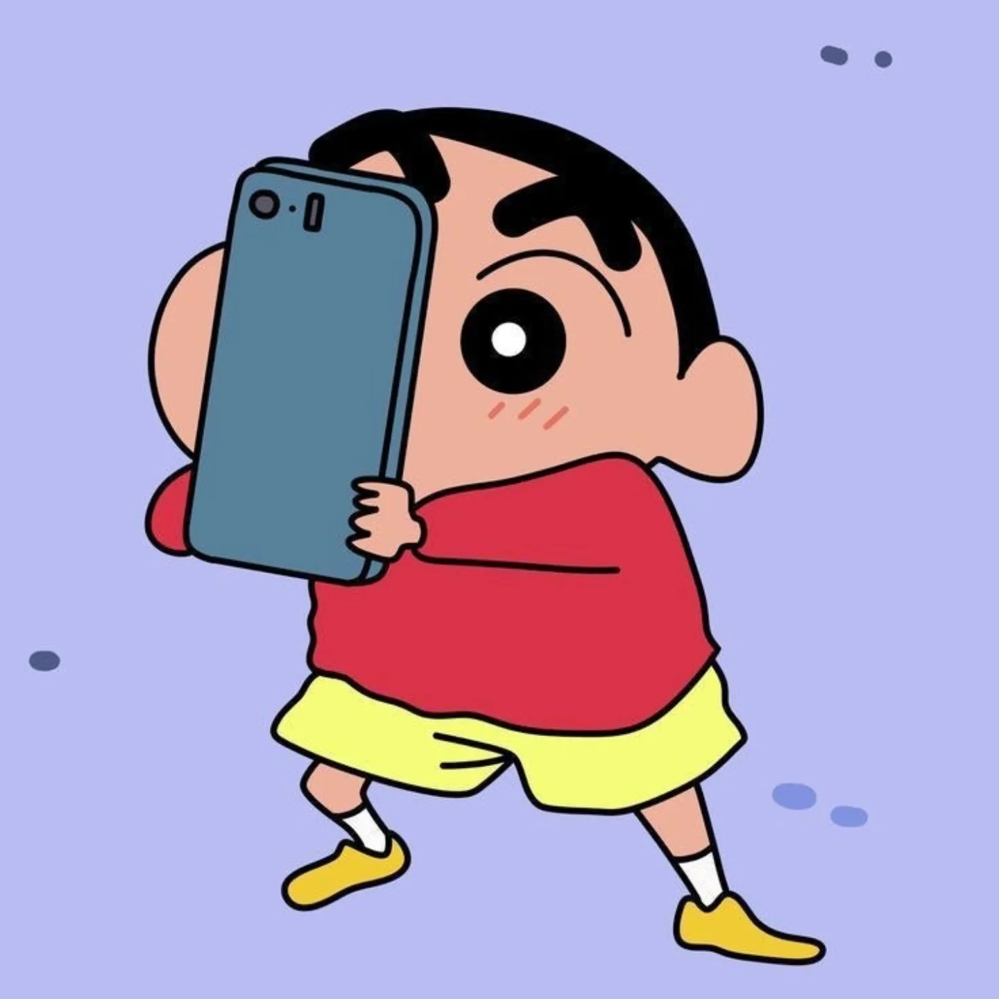 옷호이