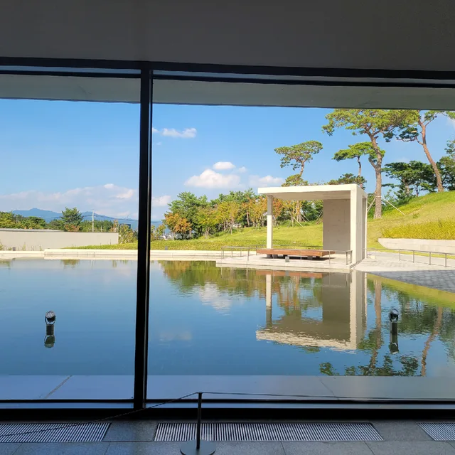 고야