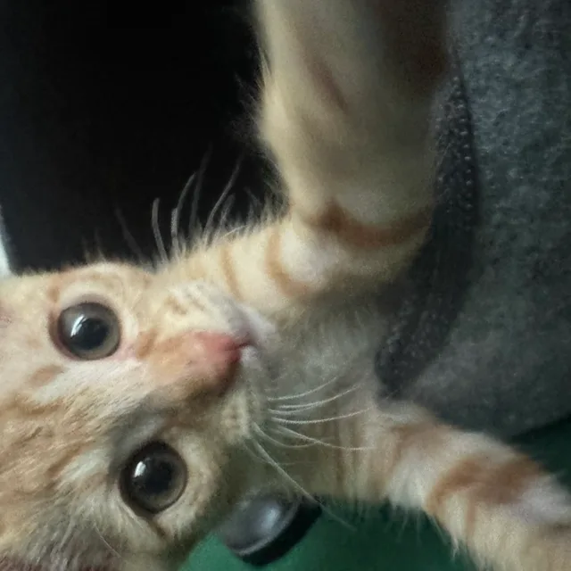 복만