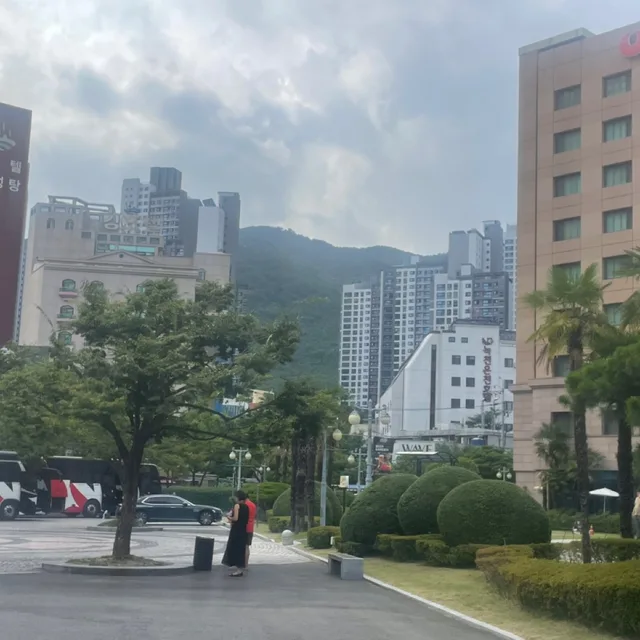 무지개빛
