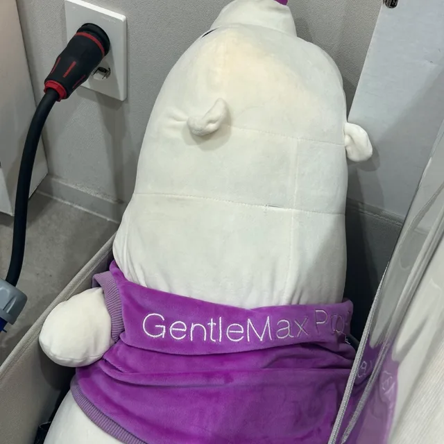 북곰