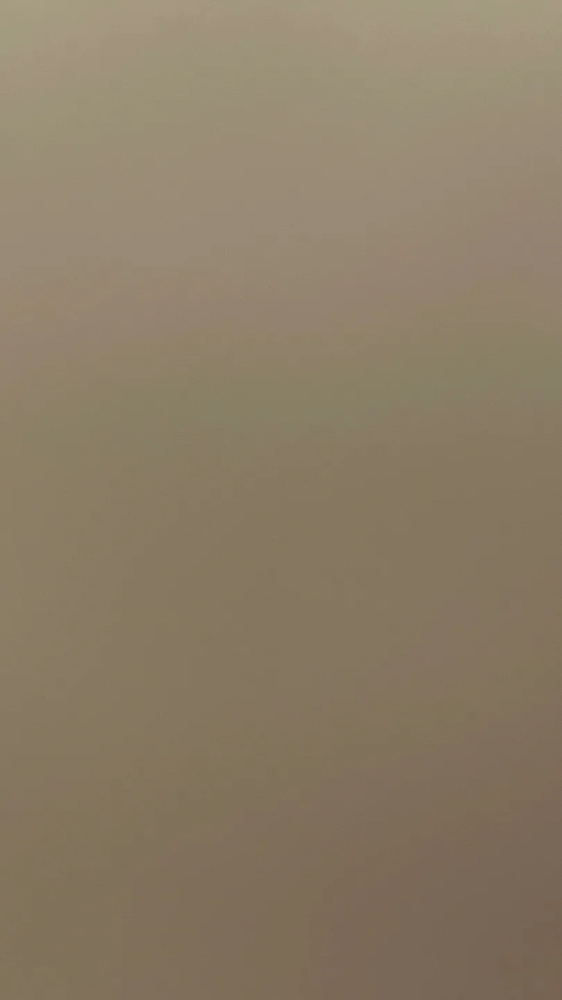 제쿠