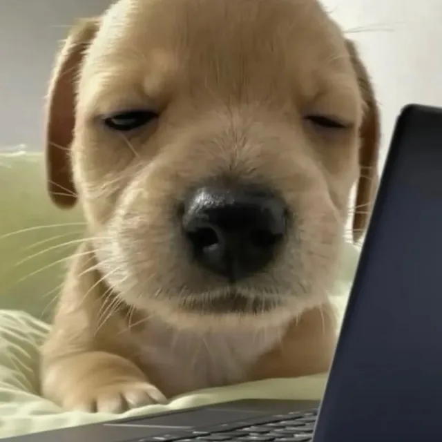 친절한포비씨