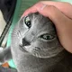 햄버거삼겹살갈비막창