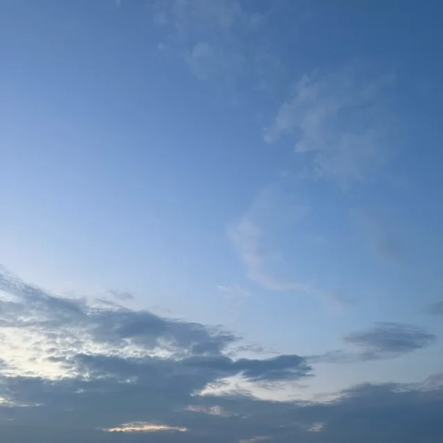 옐라