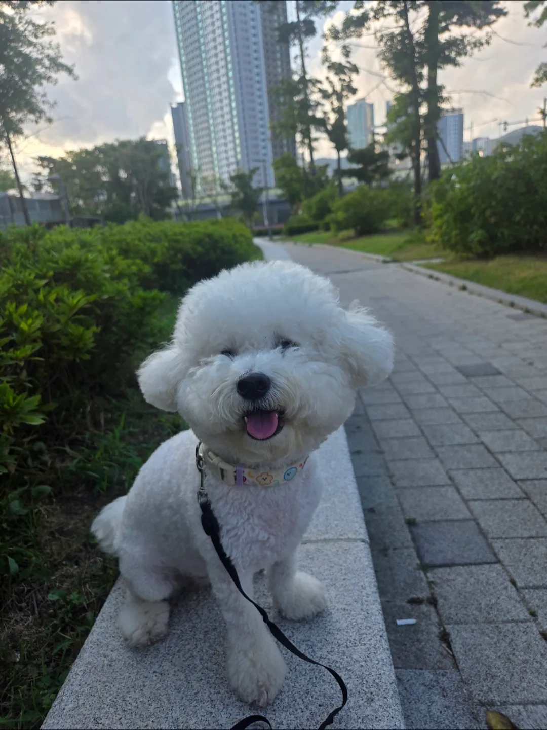 춘봉