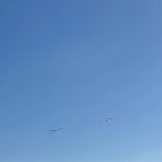 김땡땡