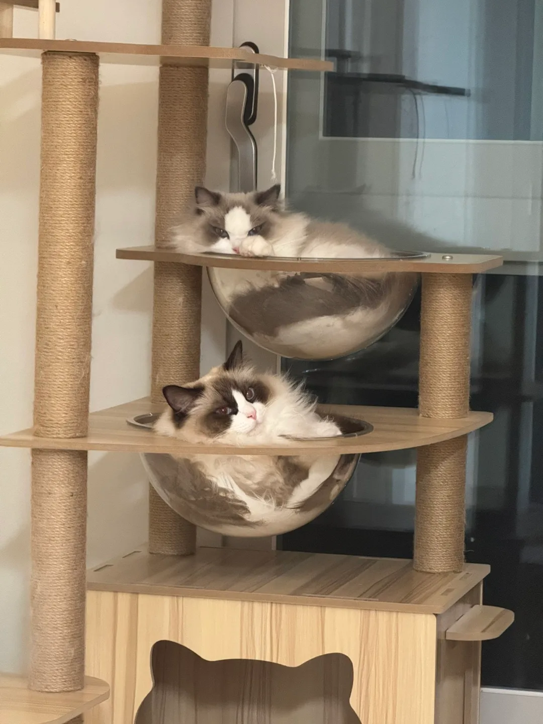 냥집사