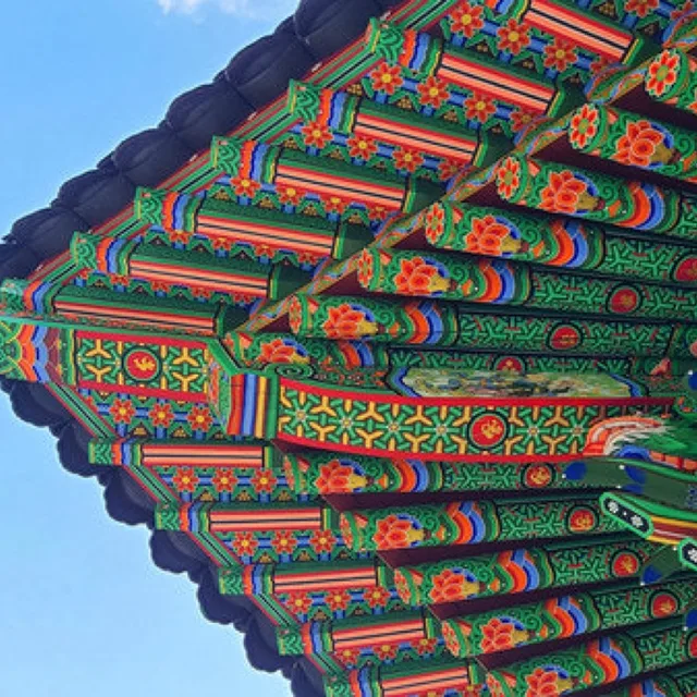 편쿨매너선호