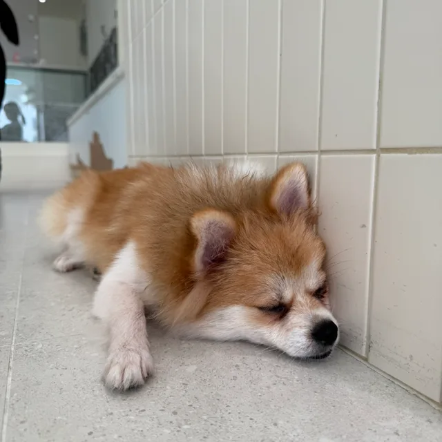 만기전역