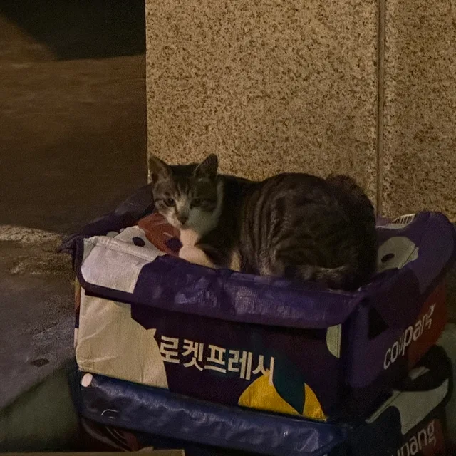 당근먹자