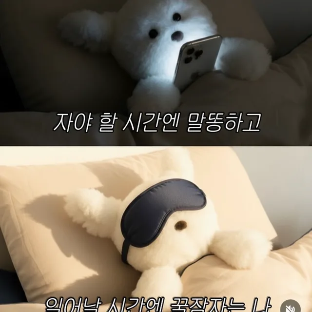 파라파라