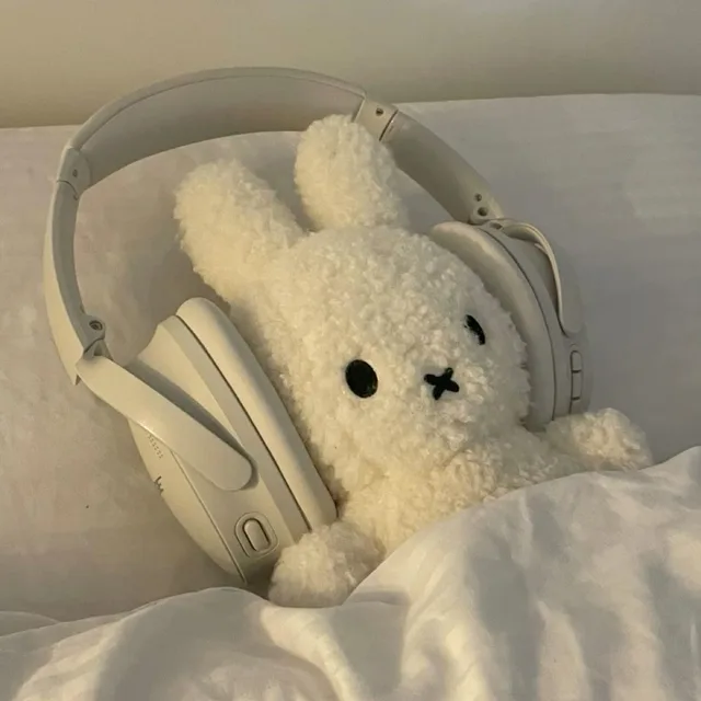 비비