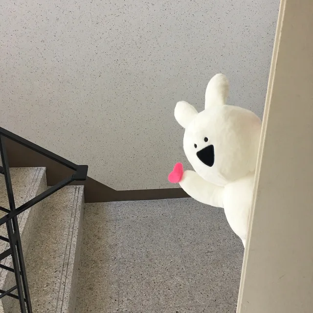 망고망고