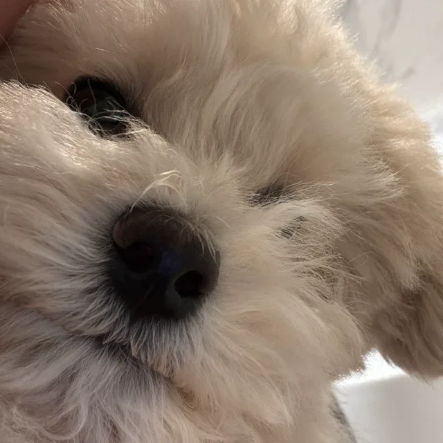 상남자