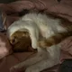 매너쿨거래