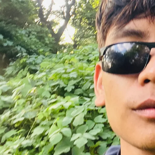 라이산데시