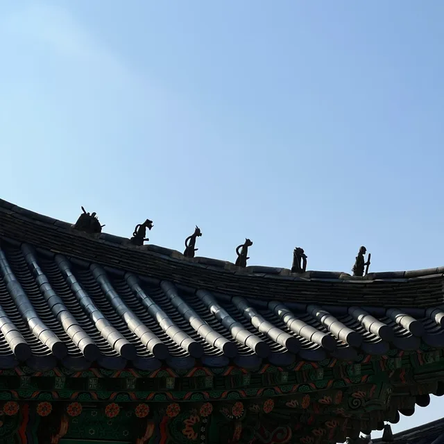 망고