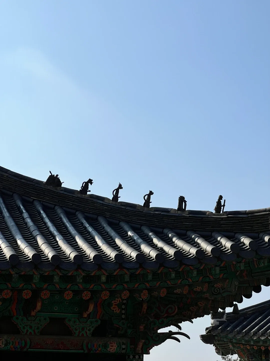 망고